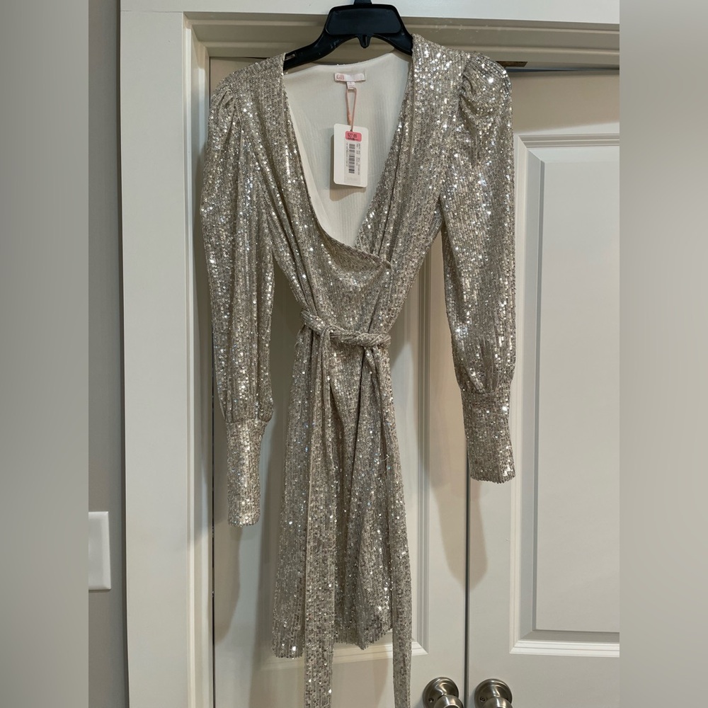 Sparkle holiday or fun party dress